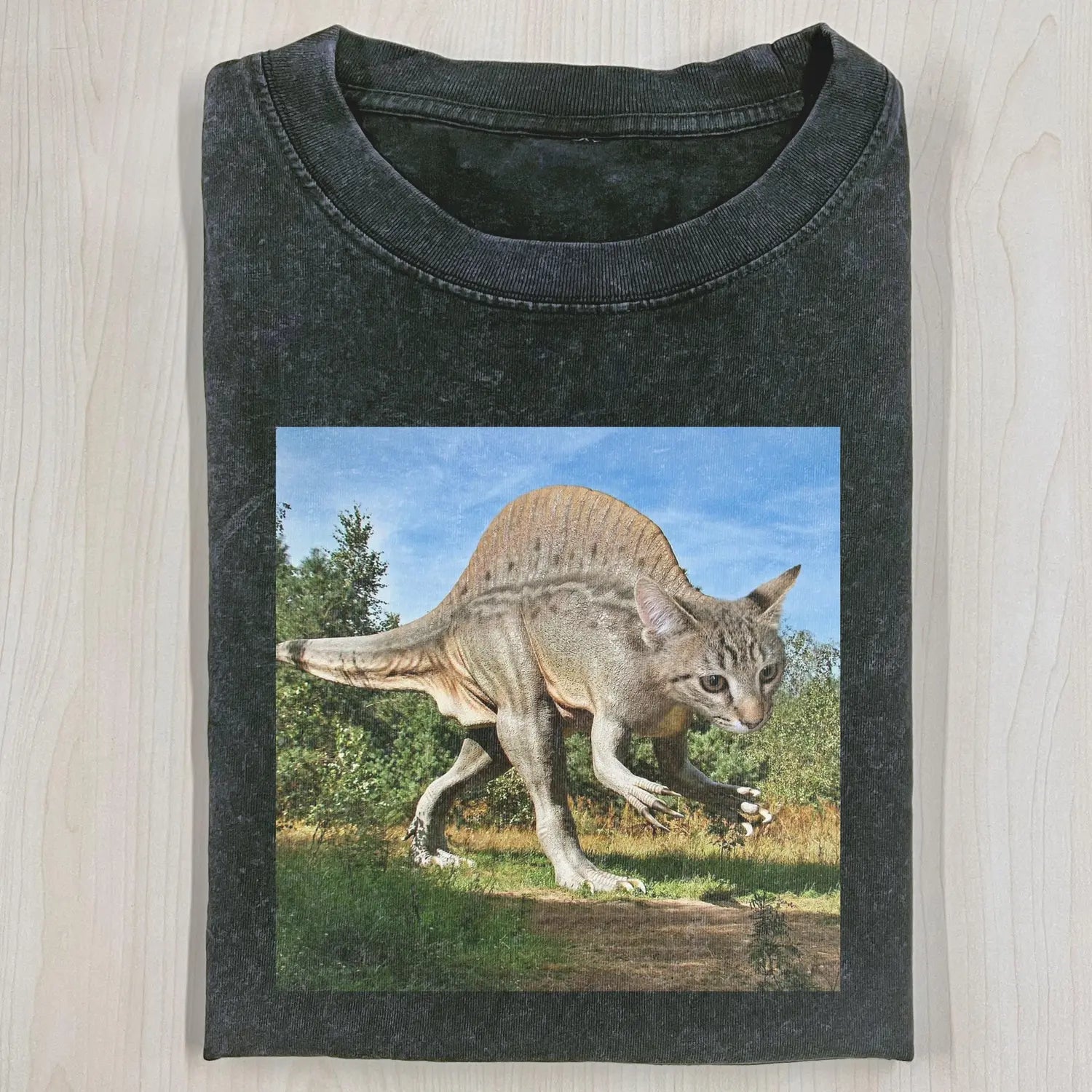 AQCHIC DINOCAT 3.24 Unisex Graphic Heavyweight Cotton Shirt
