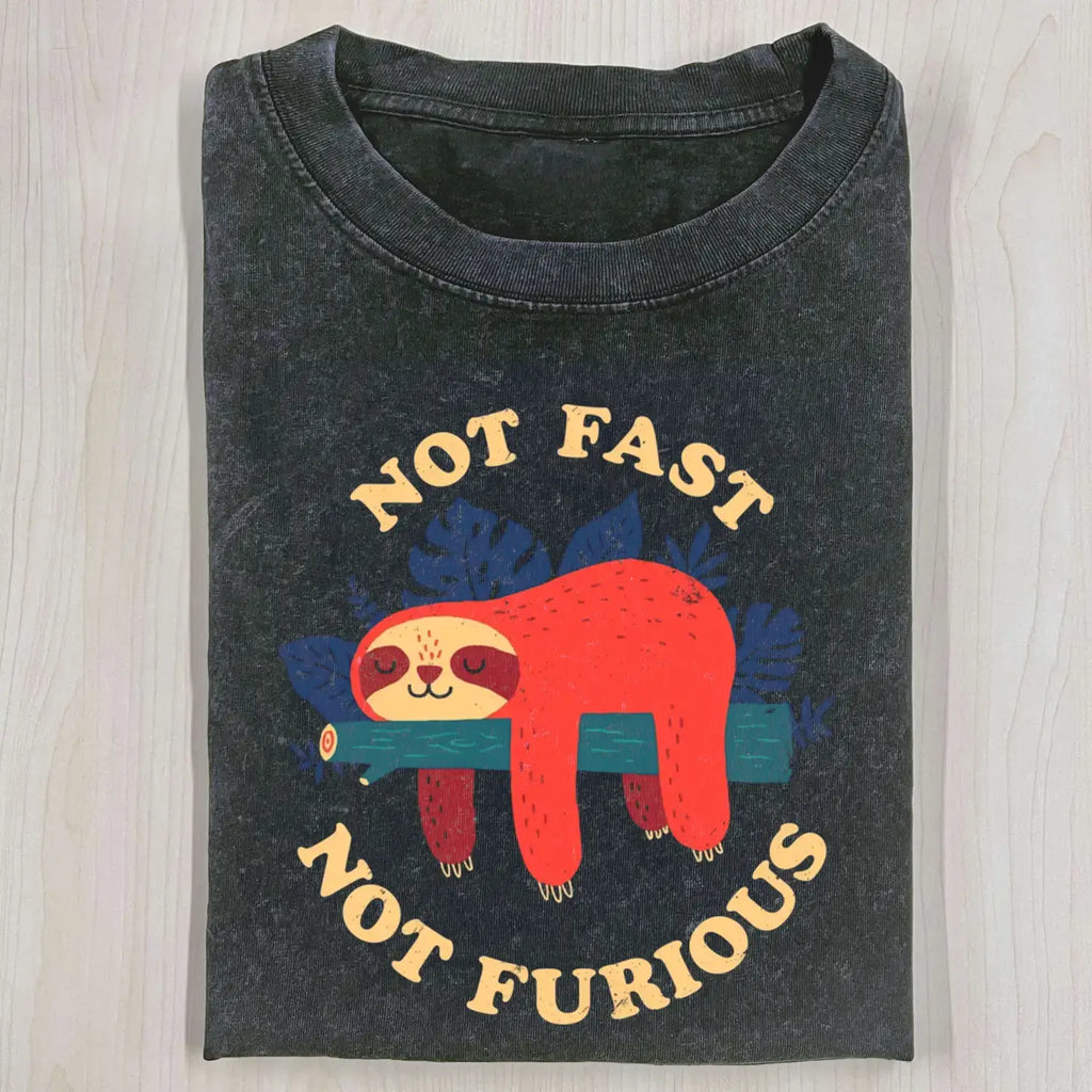 AQCHIC Not Fast Not Furious Unisex Graphic Heavyweight Cotton Shirt